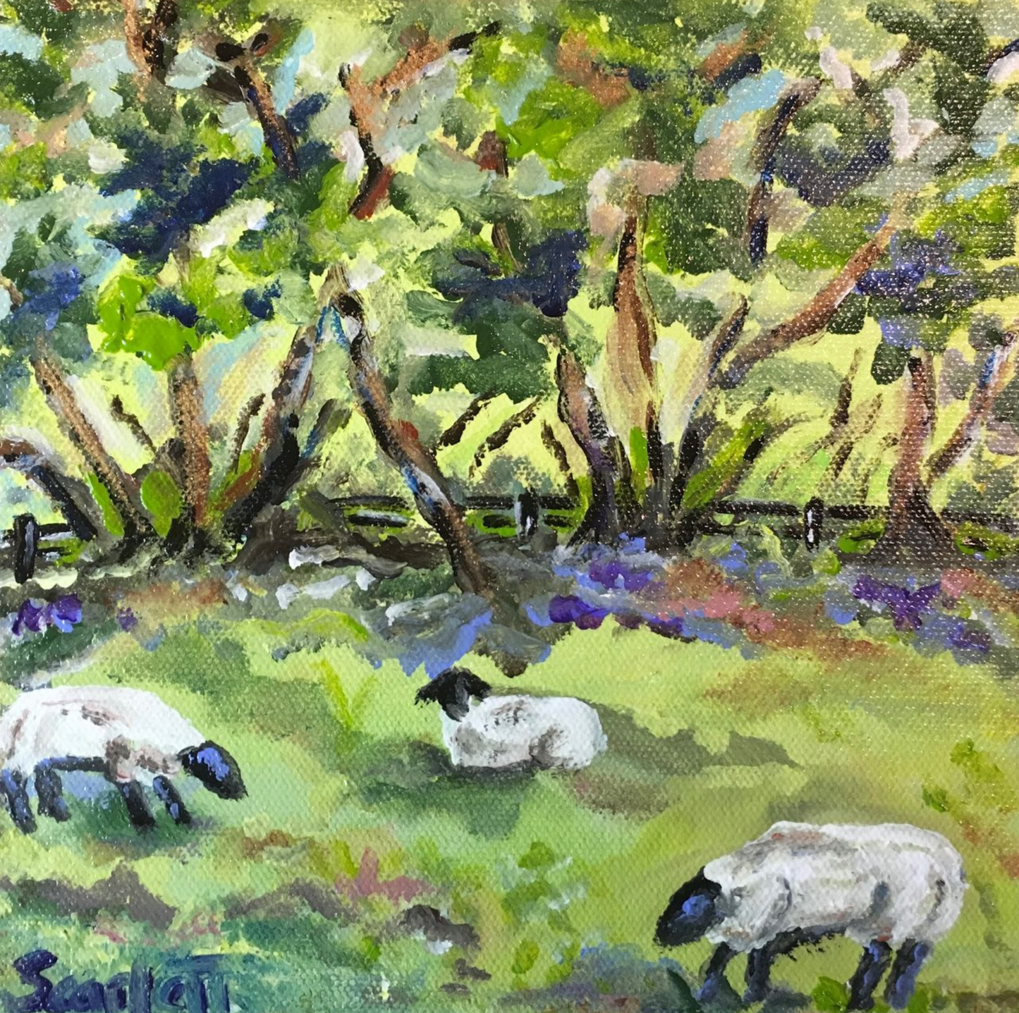 The Sheep of My Pasture